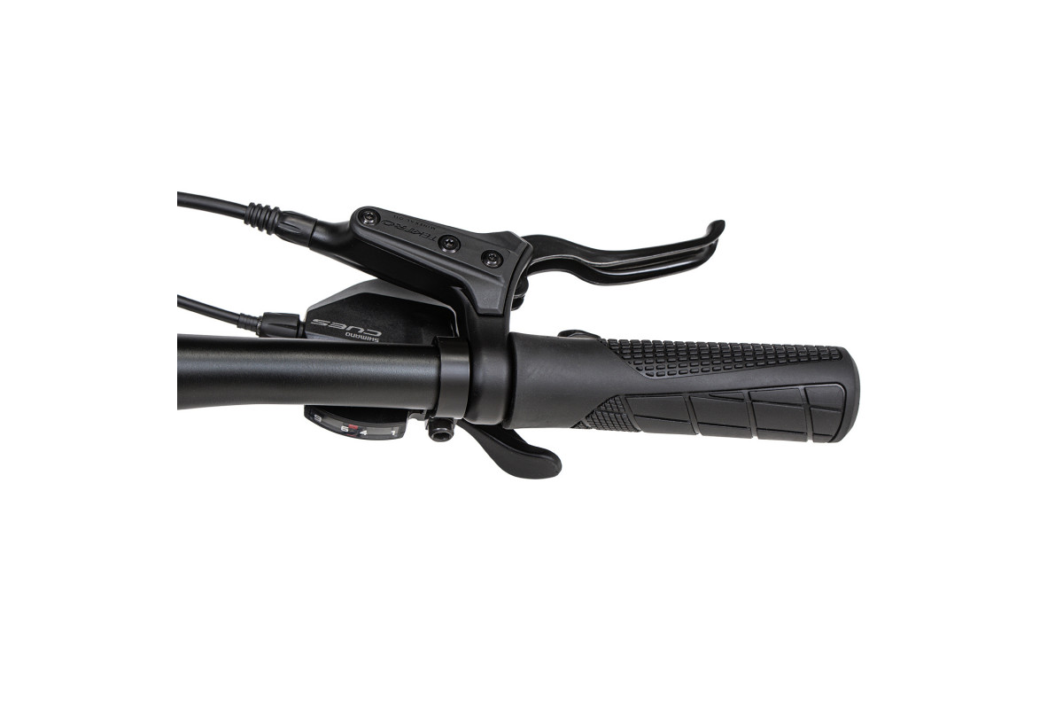 Welt Brave 3.0 HD 24 2026