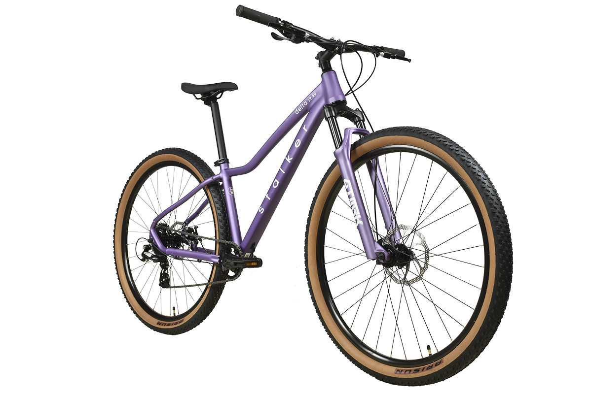 STALKER Delta 29.2 D