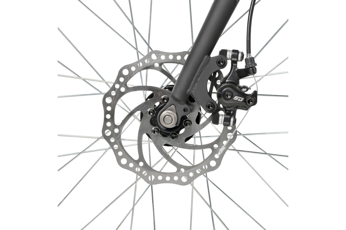 FOXX Differ D 20,0 2026