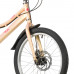FOXX Jasmine D 20,0 2026