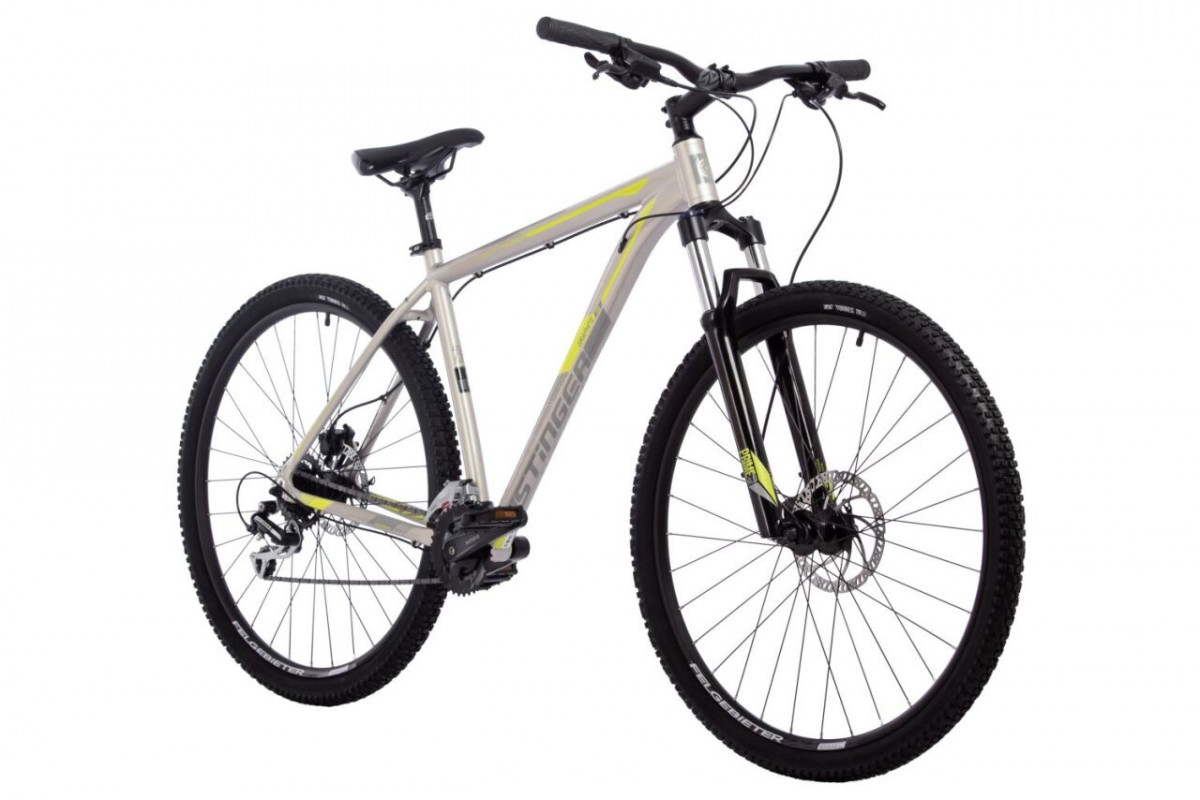 STINGER Graphite Evo 29 2024