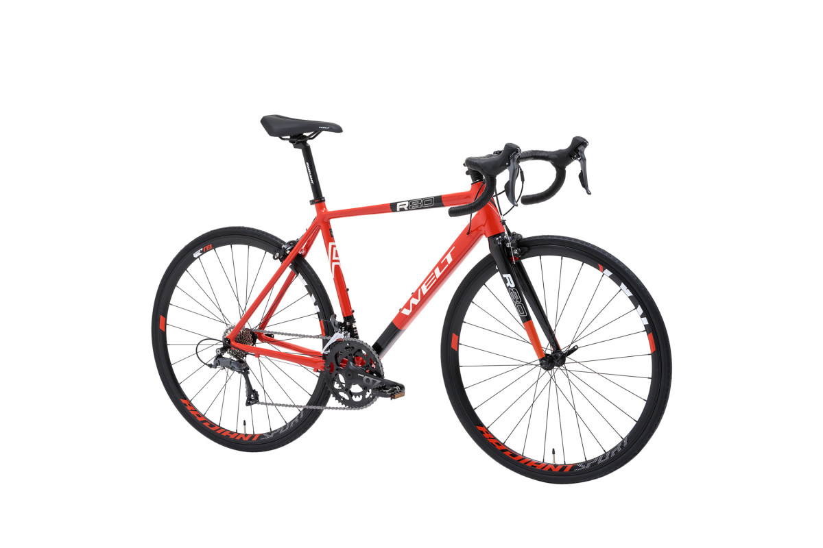 Welt R80 28 2024