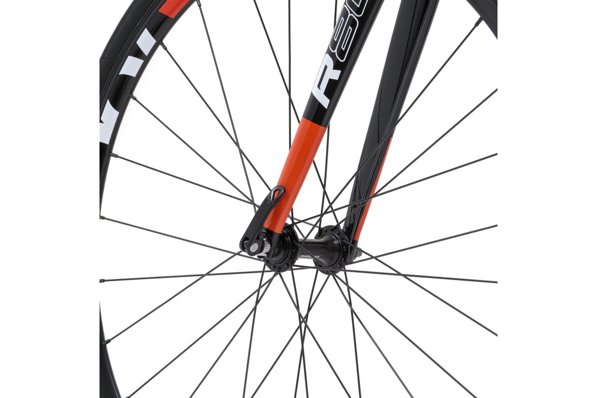 Welt R80 28 2024