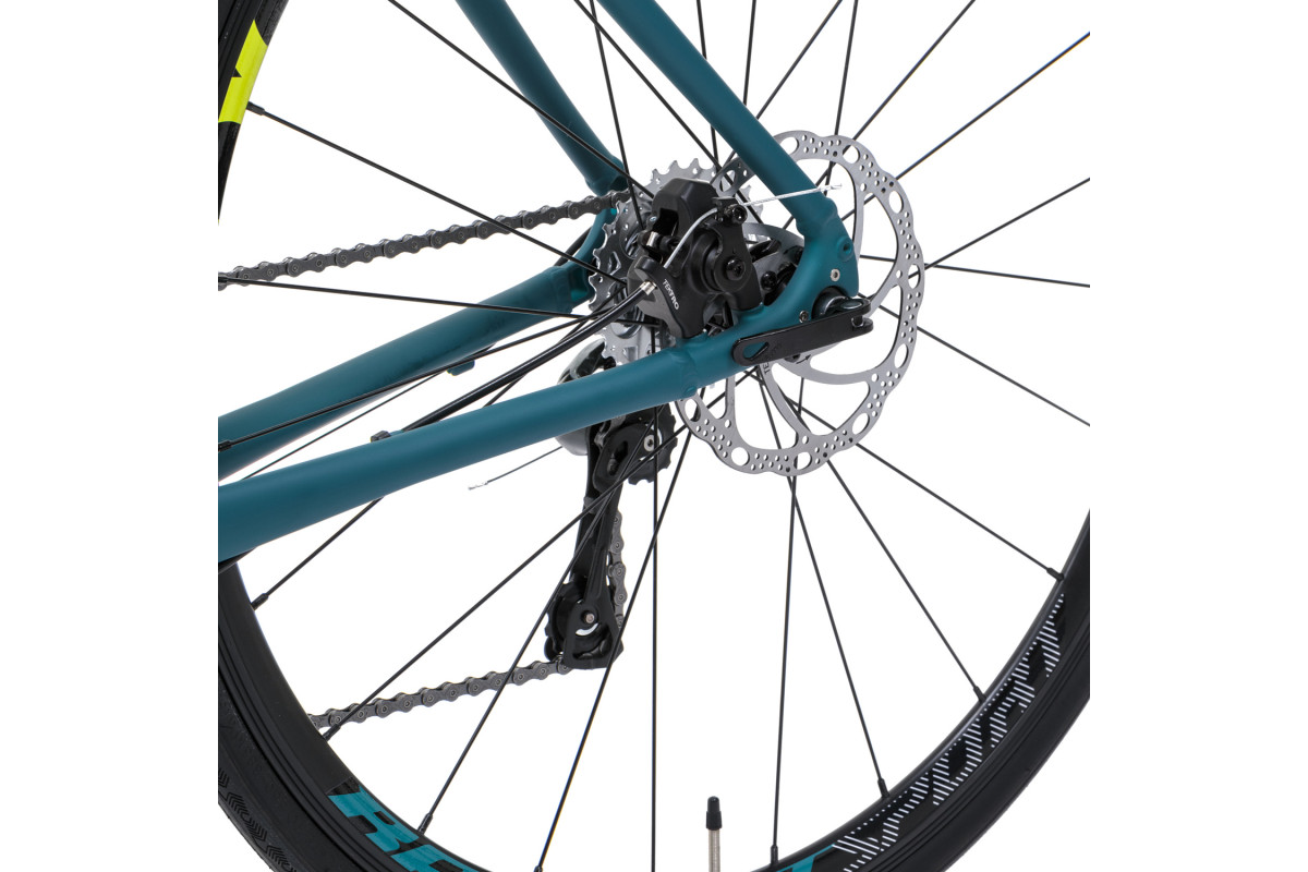 Welt R100 Disc 28 2024