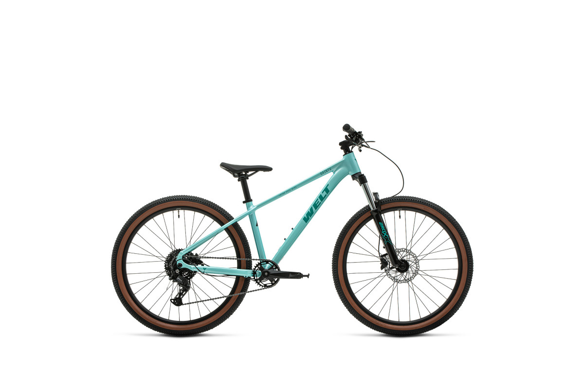 Welt Sainty 1.0 27 2026