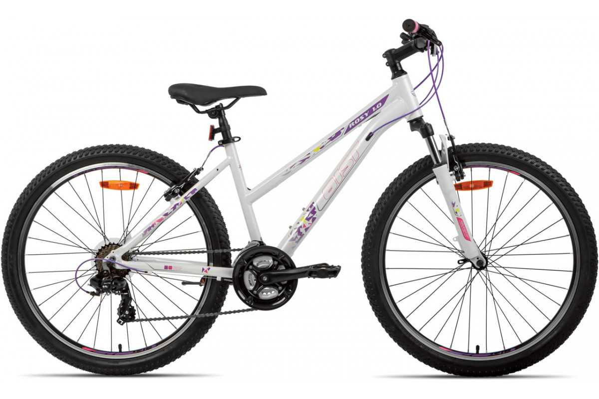 AIST Rosy 1.0 26 2024