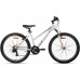 AIST Rosy 1.0 26 2024
