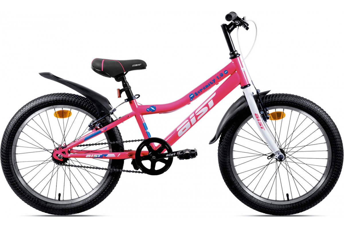 AIST Serenity 1.0 20 2024