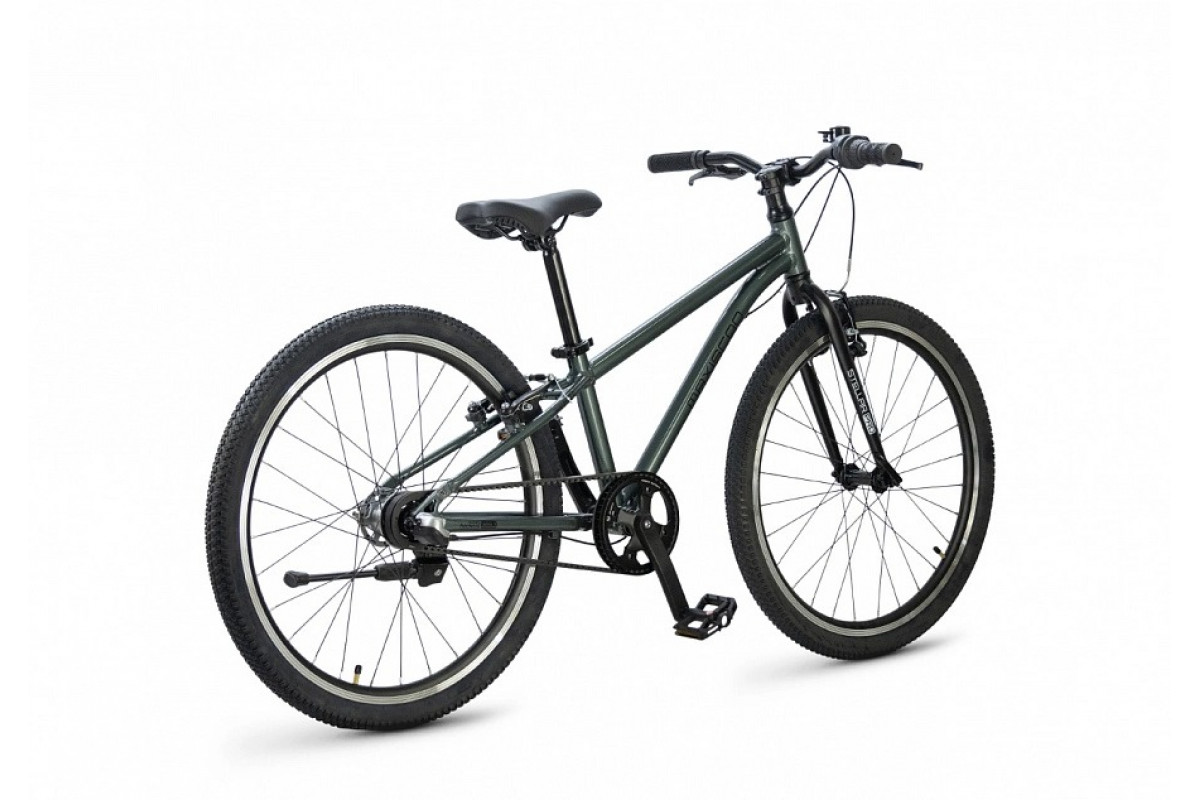 MAXISCOO Stellar Pro 24 2026