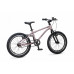 MAXISCOO Stellar 18 2026