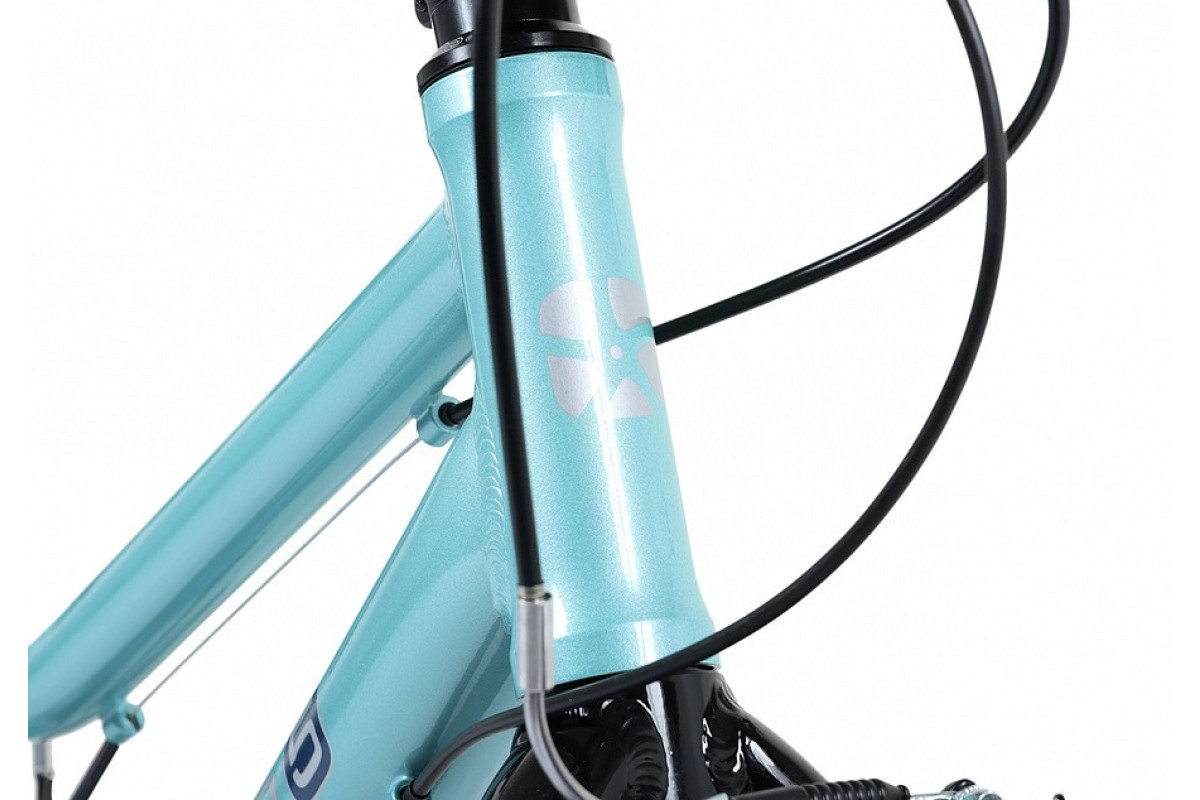MAXISCOO 5Bike 20 2026