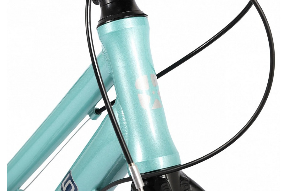 MAXISCOO 5Bike 24 2026