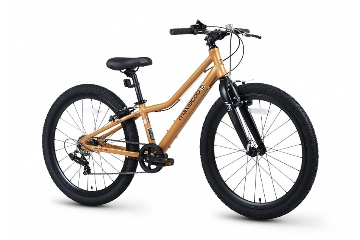 MAXISCOO 5Bike 24 2026