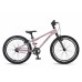 MAXISCOO Stellar 20 2026