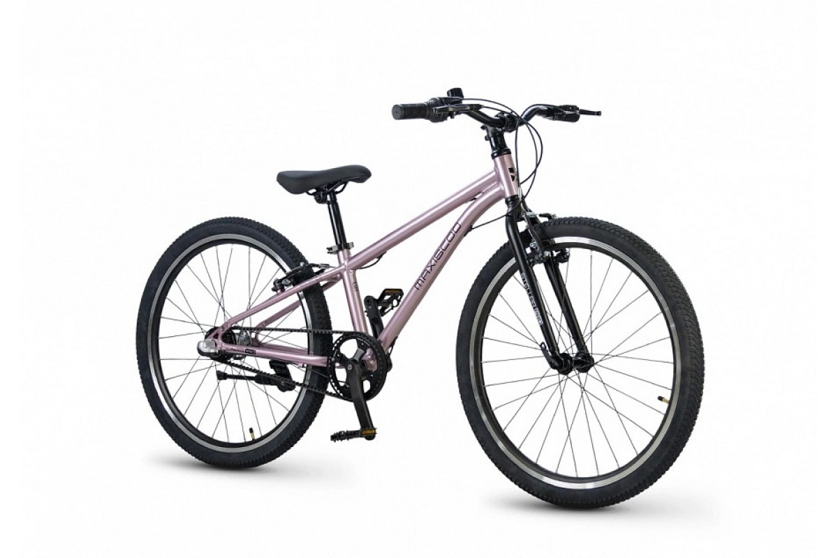 MAXISCOO Stellar Pro 24 2026