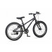 MAXISCOO 1Bike 20 2026