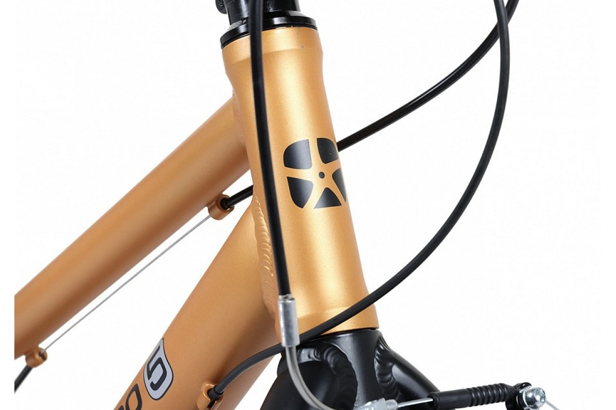 MAXISCOO 5Bike 20 2026