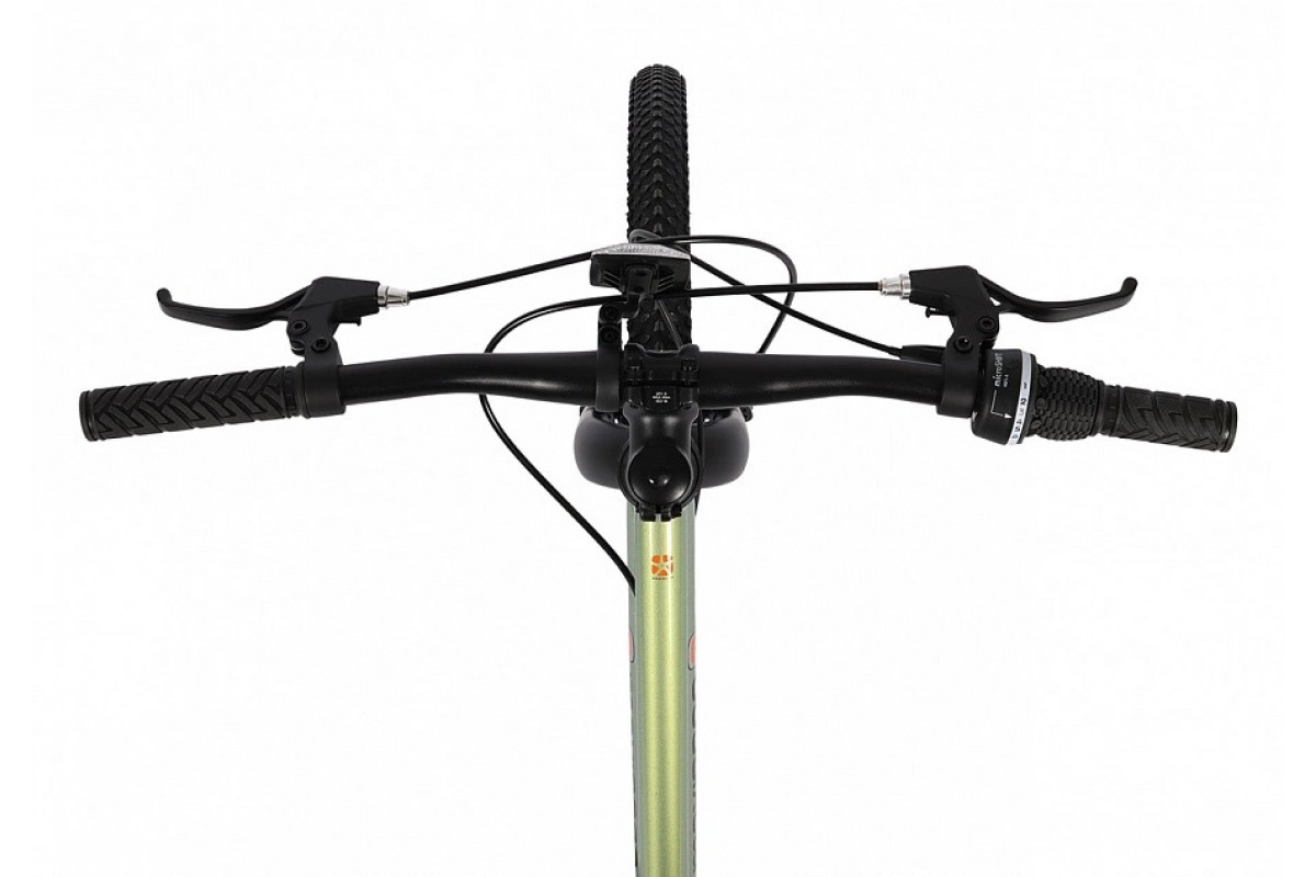 MAXISCOO 3Bike 24 2026