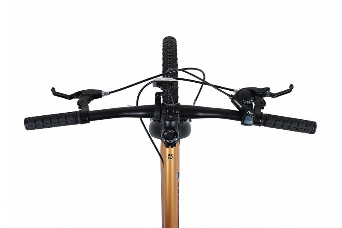 MAXISCOO 5Bike 24 2026