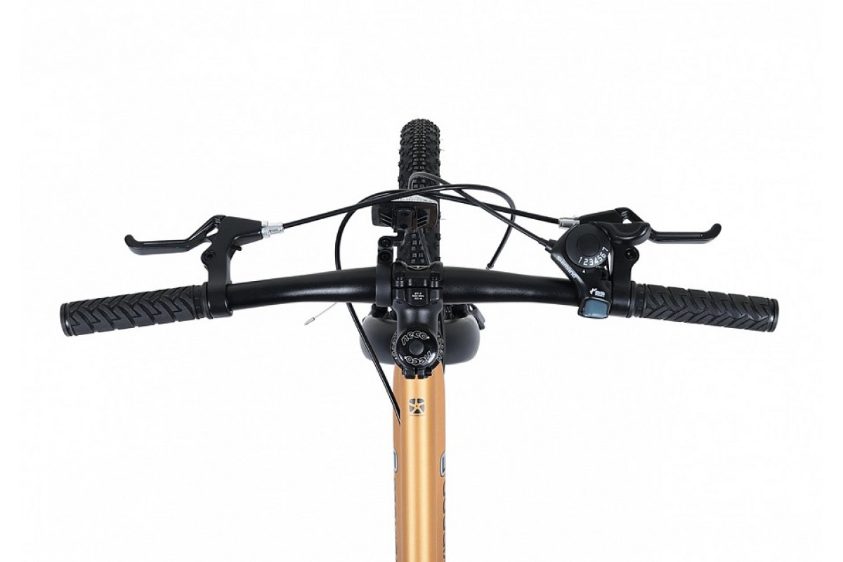 MAXISCOO 5Bike 20 2026