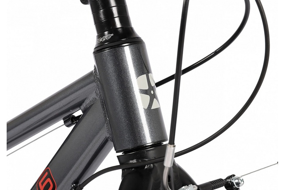 MAXISCOO 5Bike 24 2026