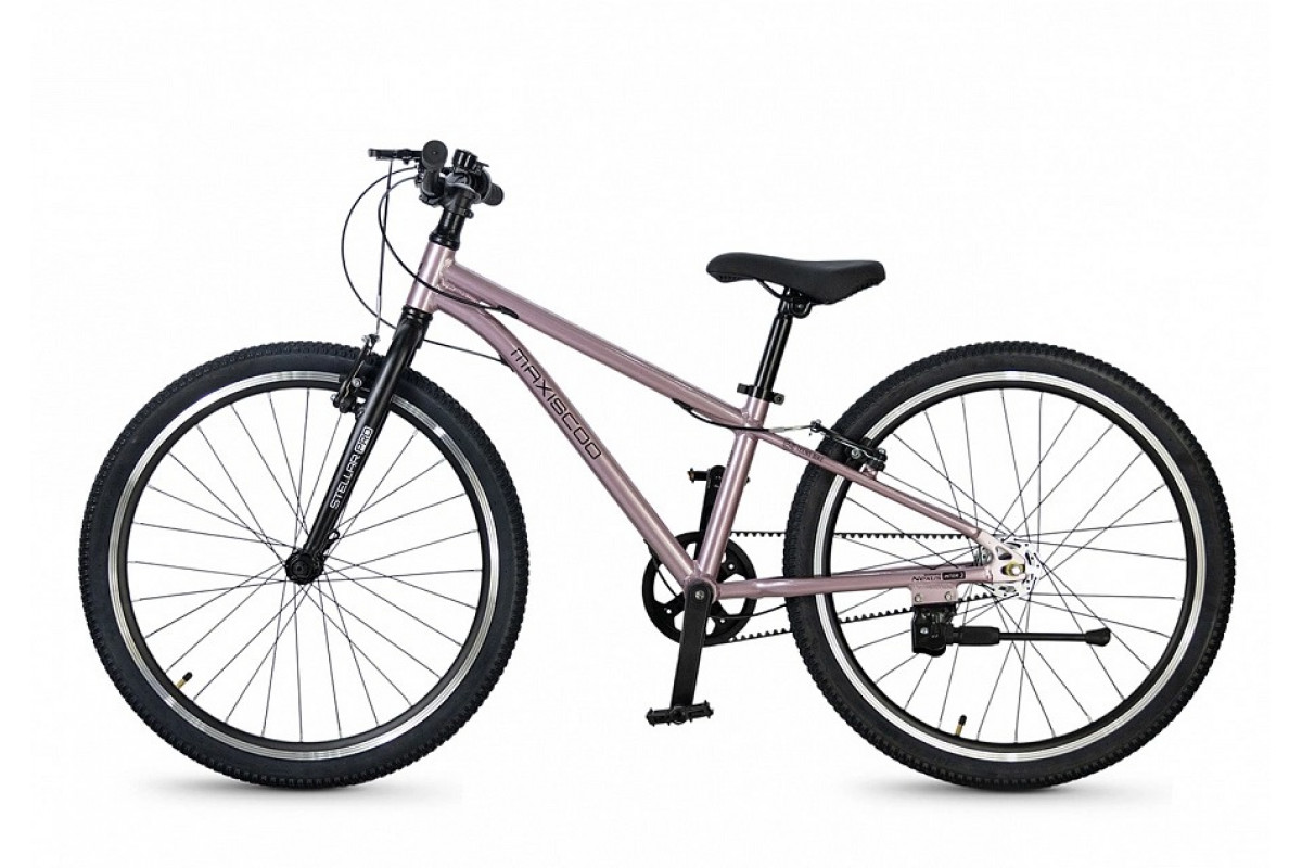 MAXISCOO Stellar Pro 24 2026