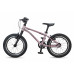 MAXISCOO Stellar 16 2026