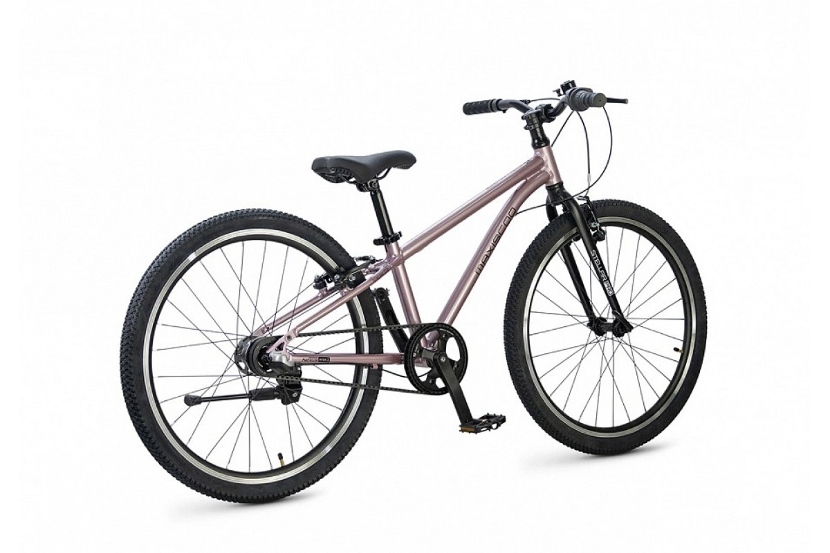 MAXISCOO Stellar Pro 24 2026