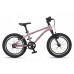 MAXISCOO Stellar 16 2026