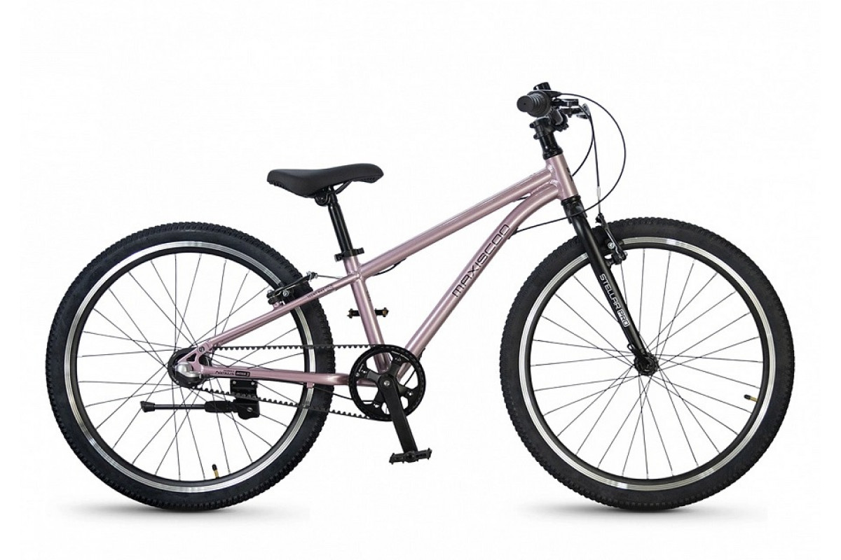 MAXISCOO Stellar Pro 24 2026