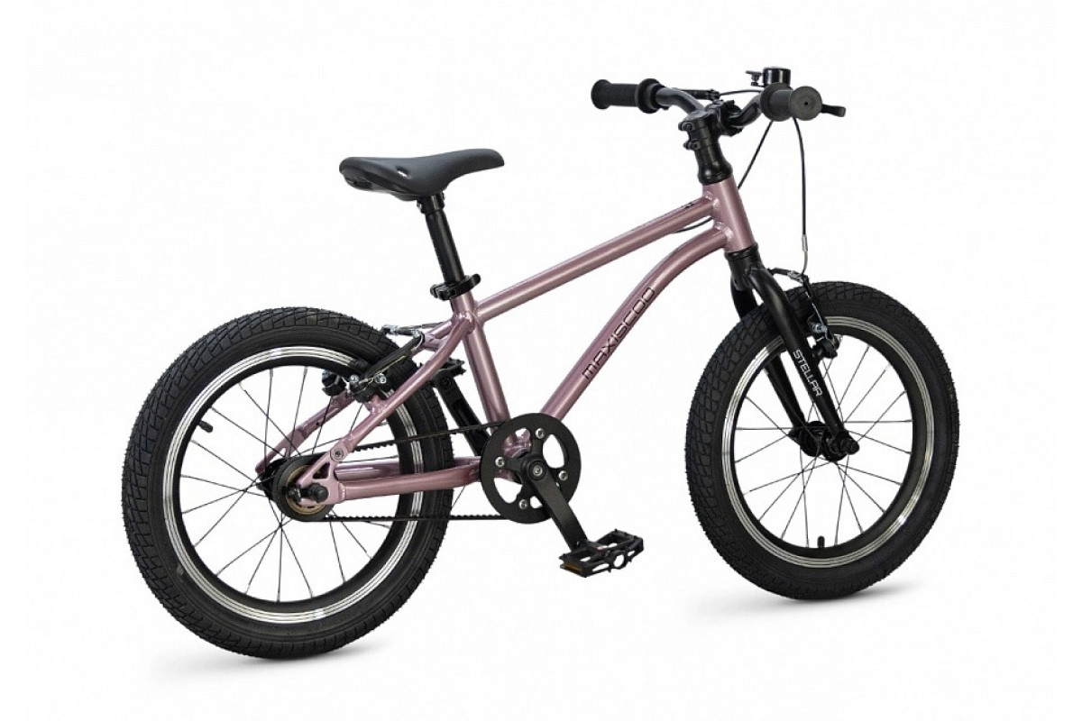 MAXISCOO Stellar 16 2026