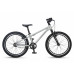 MAXISCOO Stellar 20 2026