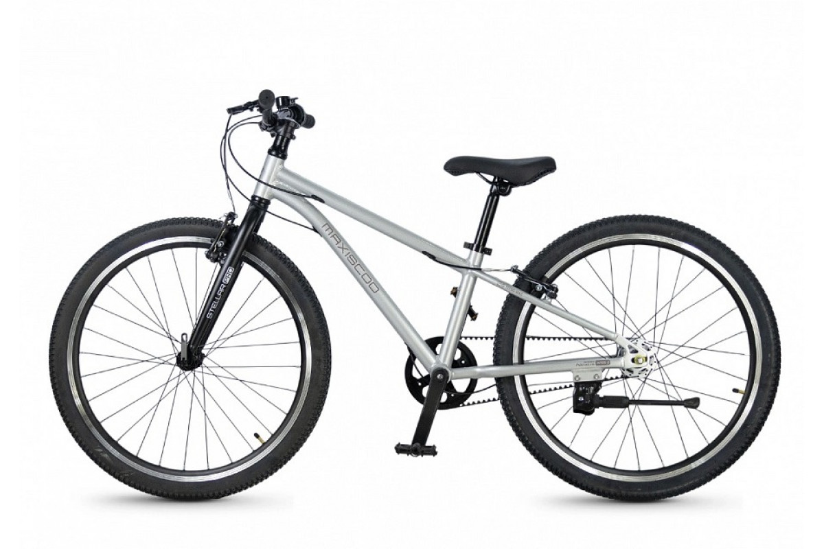 MAXISCOO Stellar Pro 24 2026