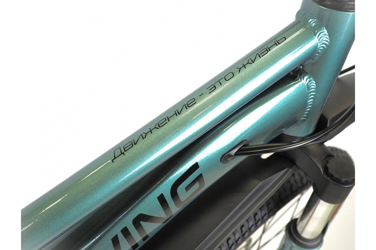ORLAN WING 24 VENUS 2.0