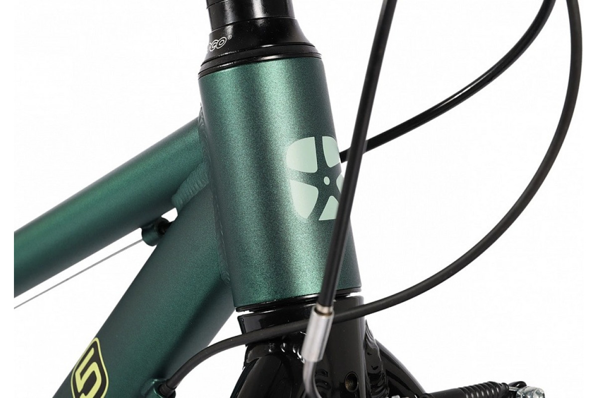 MAXISCOO 5Bike 24 2026