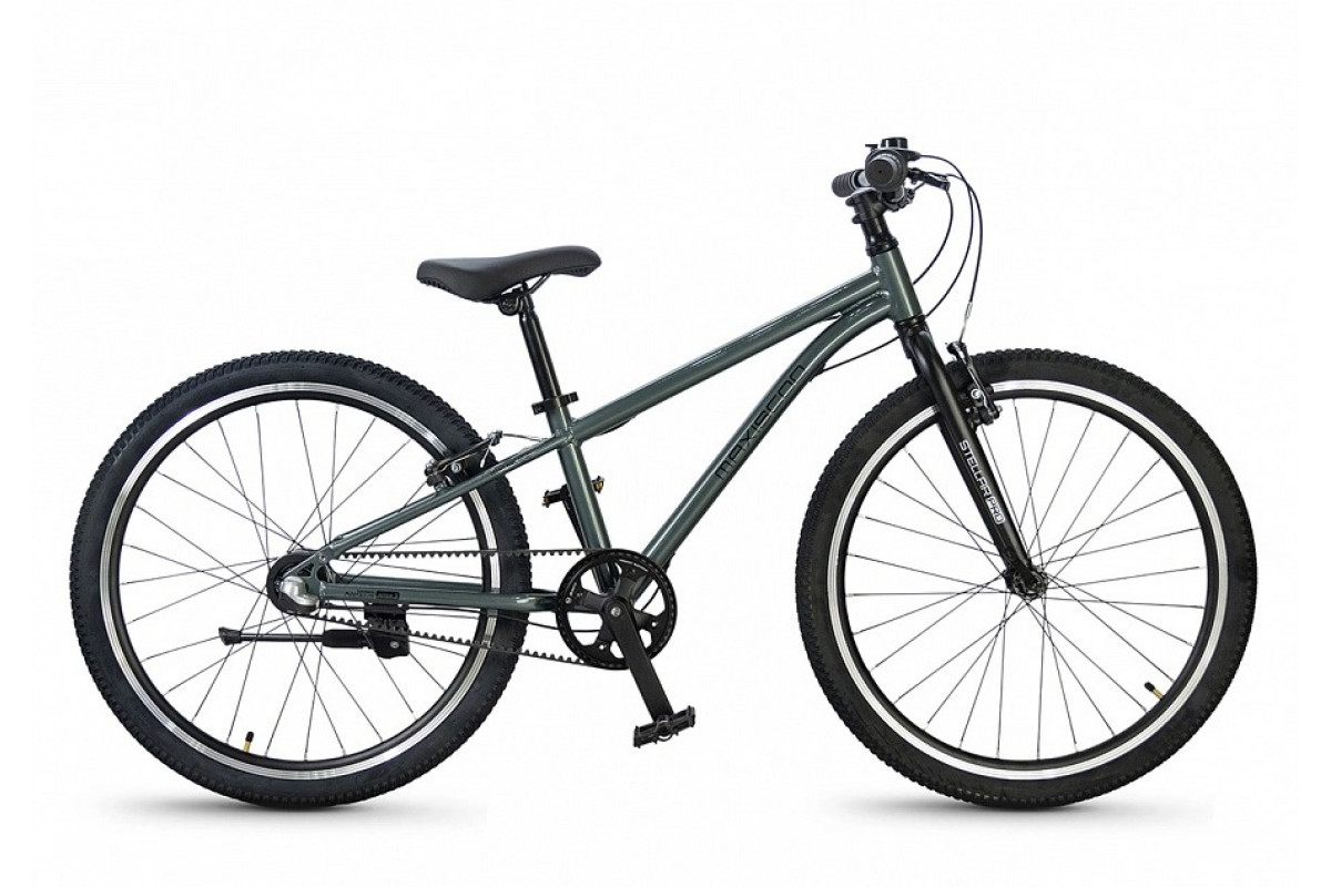 MAXISCOO Stellar Pro 24 2026
