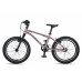 MAXISCOO Stellar 18 2026