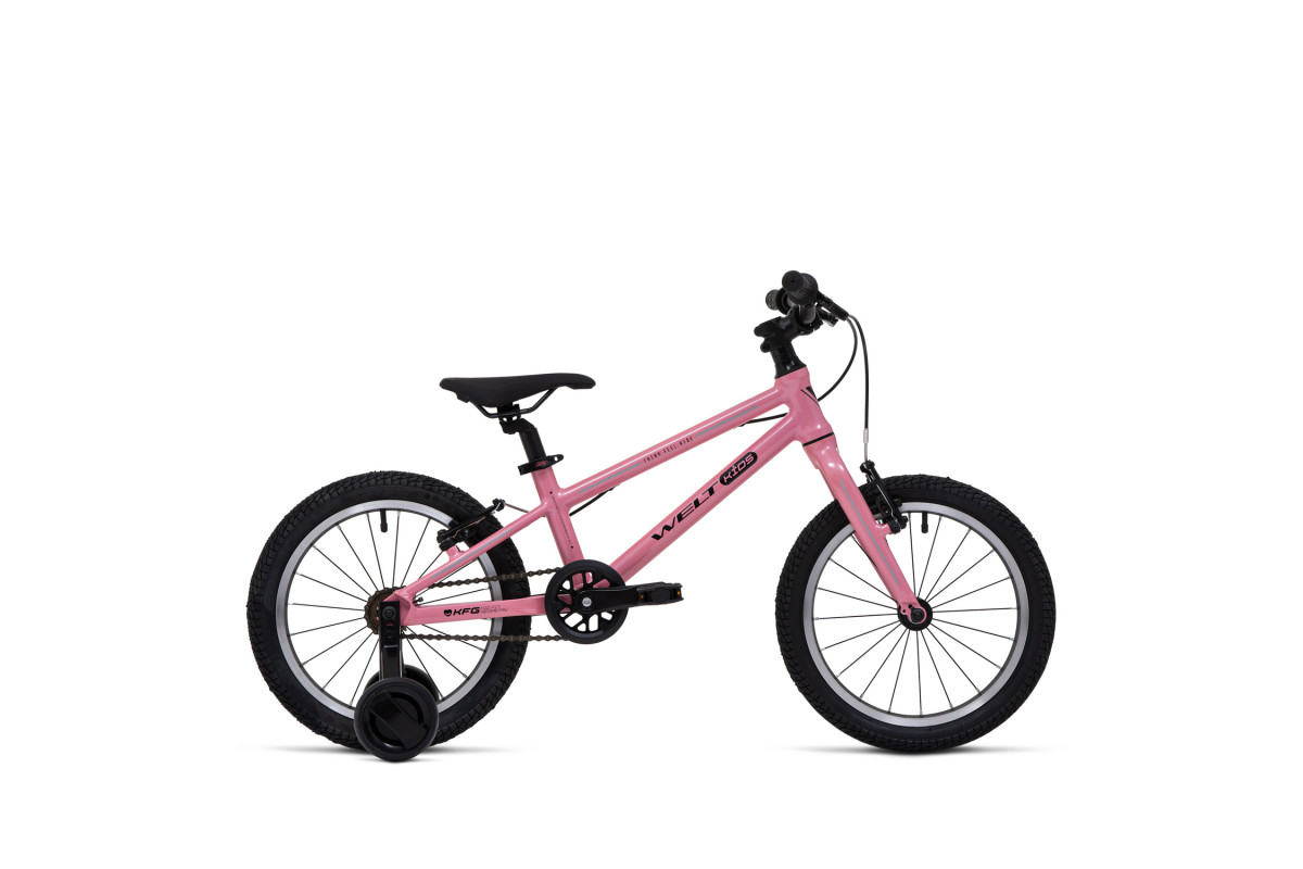 Welt Teddy 16 2026
