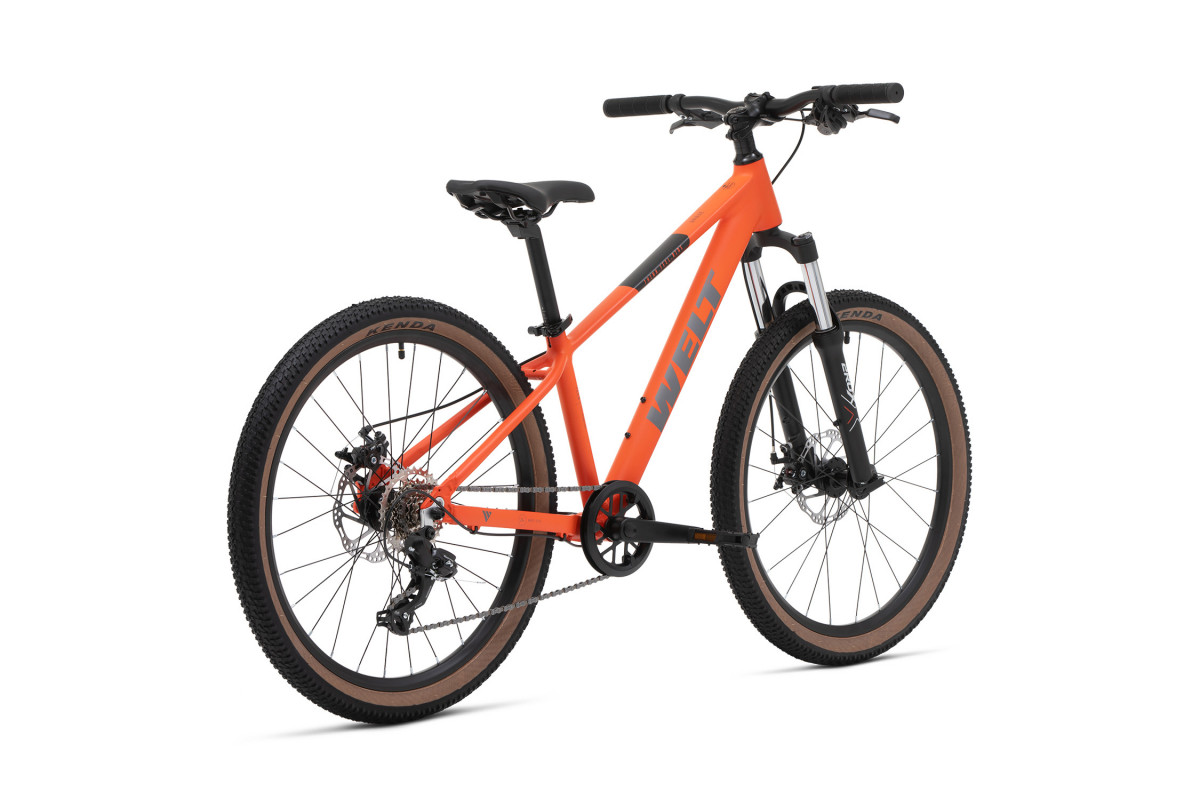 Welt Brave 1.0 MD 24 2026