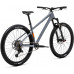 Welt Edge 1.0  29 2026