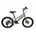 ORLAN WING 20" STRONG 2.0
