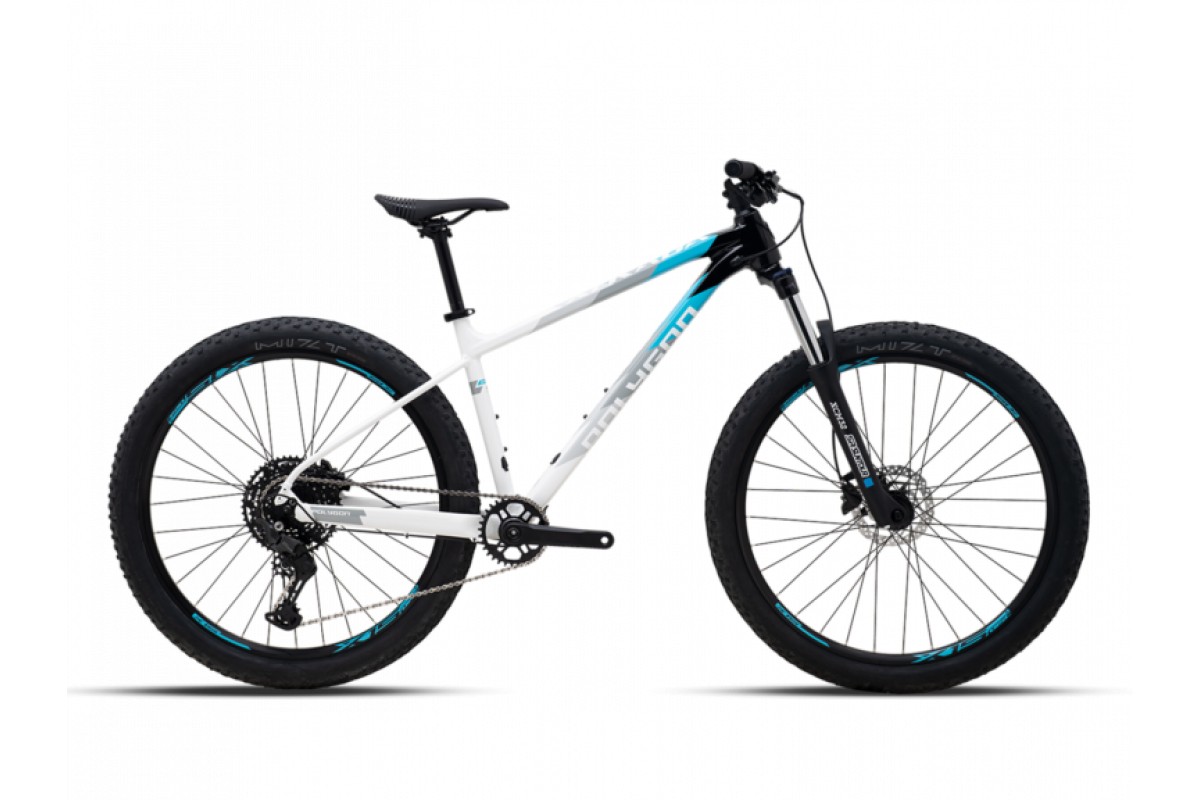POLYGON XTRADA 5 LG 29 2025