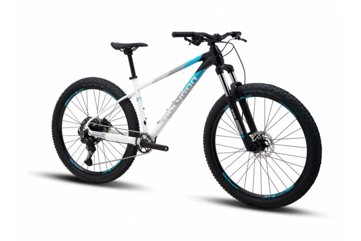 POLYGON XTRADA 5 LG 29 2025