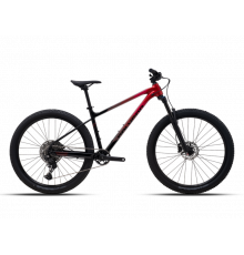 POLYGON XTRADA 6 LG 29 2026