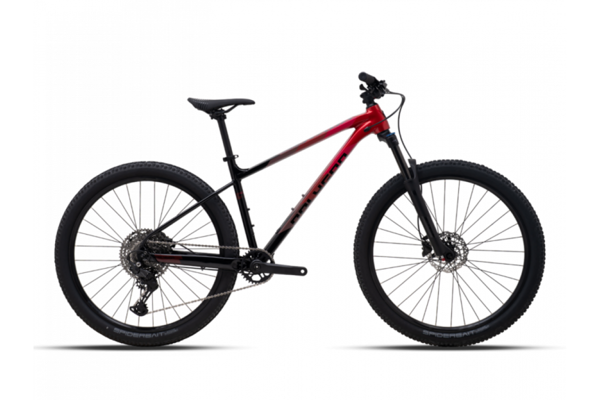POLYGON XTRADA 6 LG 29 2026
