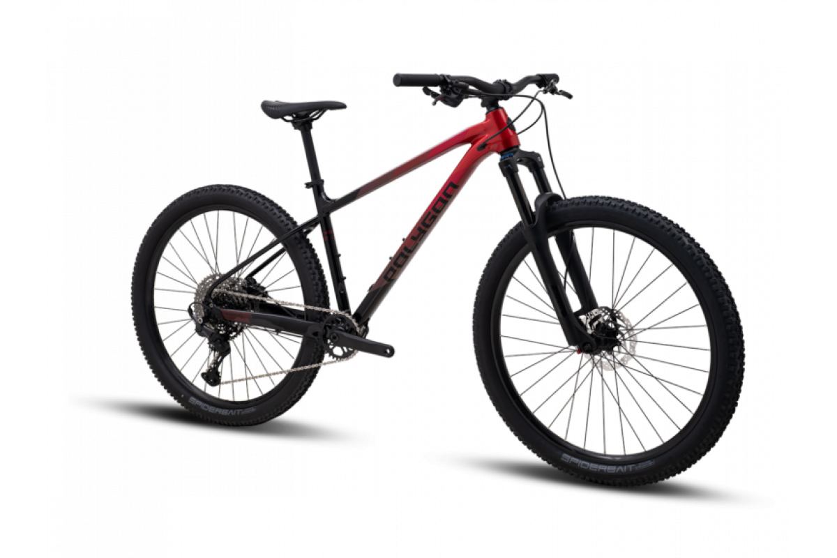 POLYGON XTRADA 6 LG 29 2026