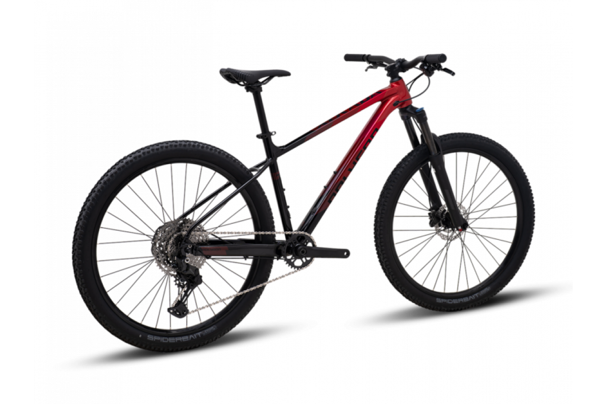POLYGON XTRADA 6 LG 29 2026