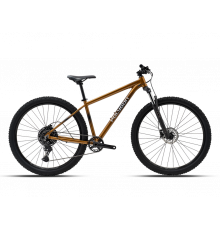 POLYGON CASCADE 5 27 2026