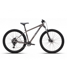 POLYGON CASCADE 4 27 2026