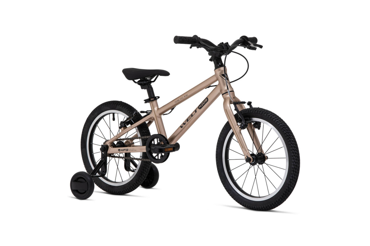 Welt Teddy 16 2026
